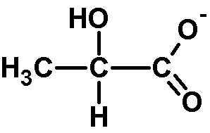 LaktatB