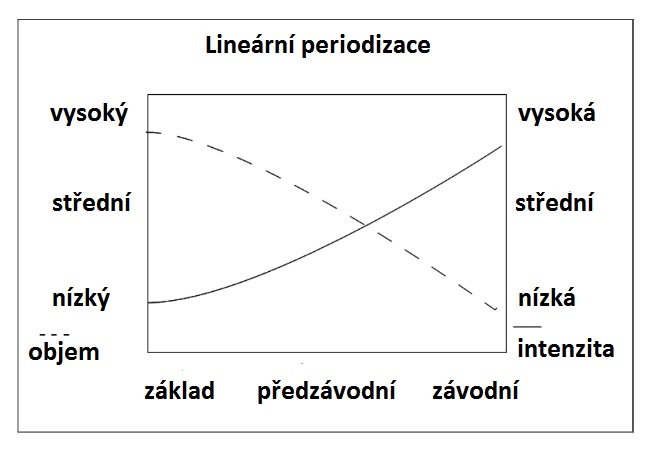 lineární_periodizace