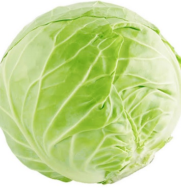 zelí
