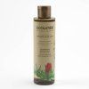 ecolatier sampon na vlasy s aloe vera