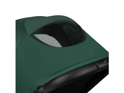 LO Mira Green Emerald (9)