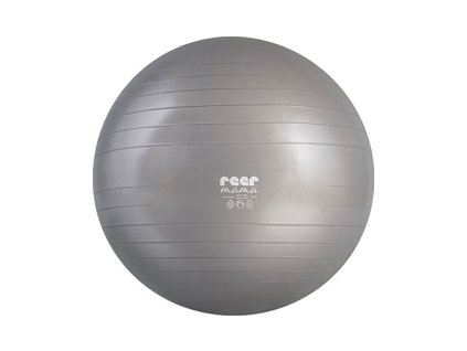 19636 9 31081 gymnastikball produkt 01 web