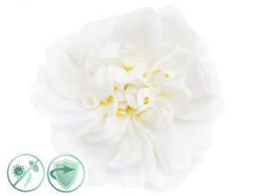dezinfekcny aroma olej white flower