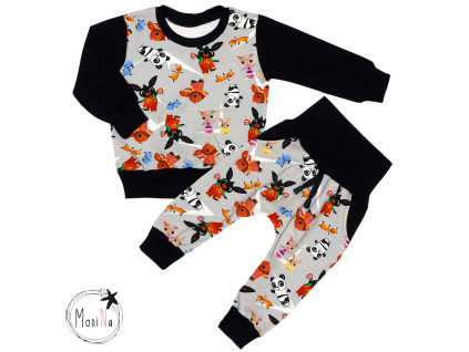 DSE04495set