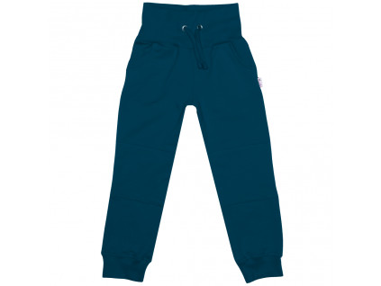 DSD09730