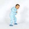 DSD09778