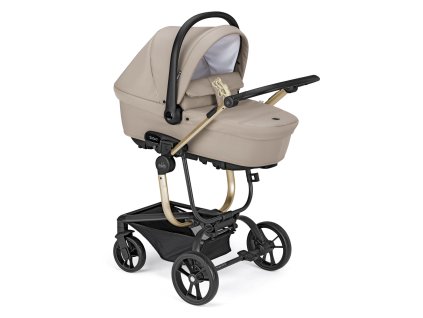 8005549100527 cam011910 col. t861 1 z401585z