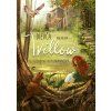 dievca menom willow stonozka sabine bohlmann