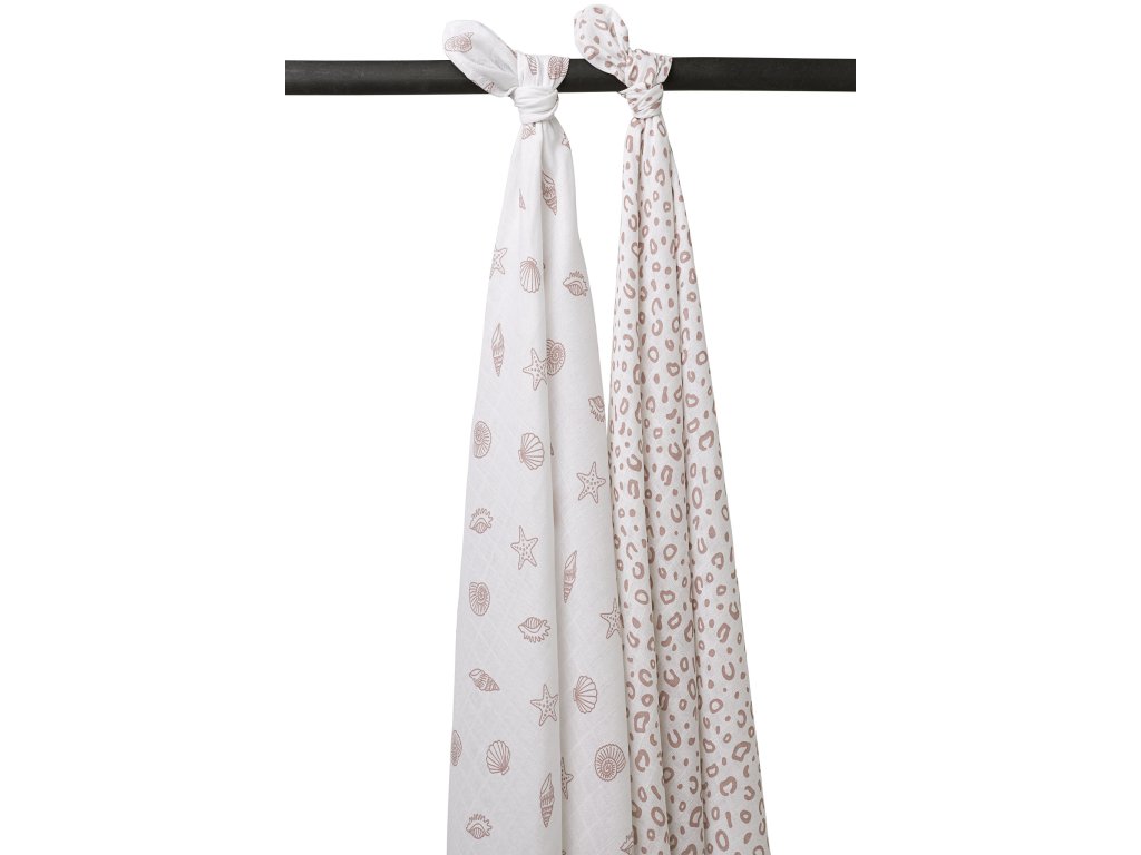 1719 50952424833 81b8bbdee6 k