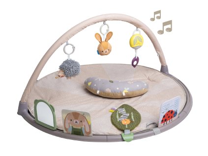 13395TAF uncompressed