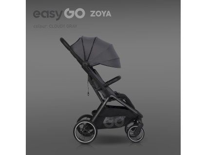 easygo ZOYA cloudy gray 1