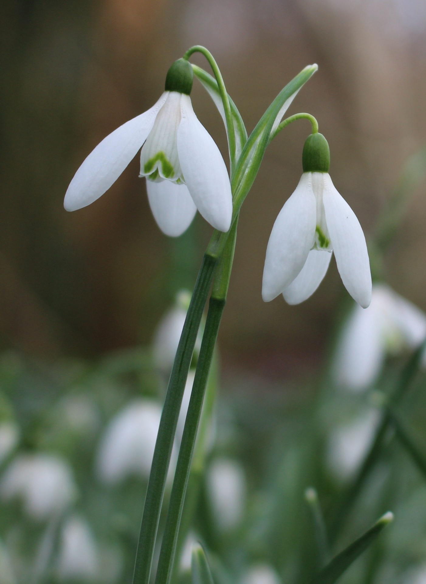 When to switch your child from winter to spring shoes? (And why you shouldn't follow the calendar)