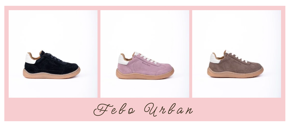 Febo urban