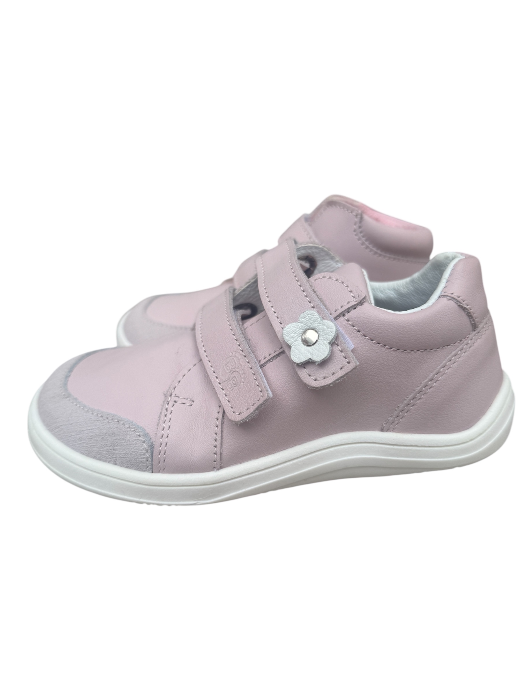 Photoroom_20260123_125209