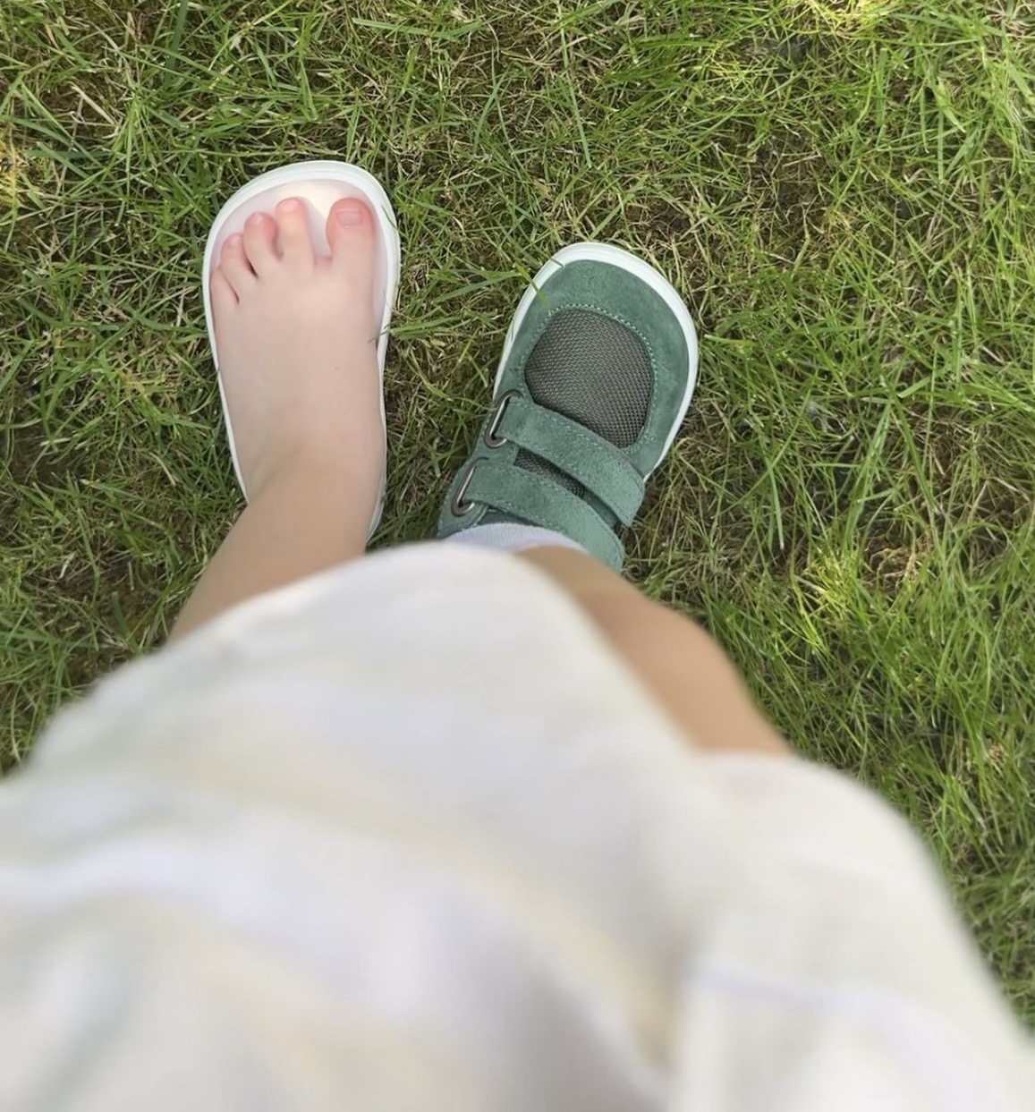 dd1a38fa-086b-4634-bced-13382932185a_1