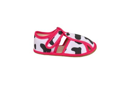 Photoroom 20251219 095138