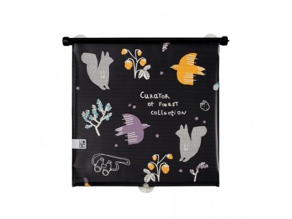 LeokidSlunecniClonaDoAutaForestCollection