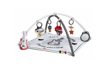 TinyLoveHraciDekaSHrazdickouCtvercovaGyminiTinyRockers