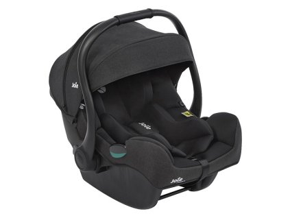 JoieAutosedackaIGemm3Raven