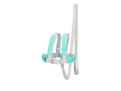 Fillikid Dětské bezpečnostní kšíry lightgrey/mint (Variáns lightgrey/mint)