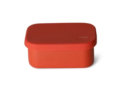 citron mini svacinovy box nerez brick