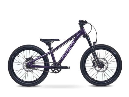 ACADEMY Bicykel S-GRADE PUMP 4 - 20", Fialová