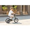 QPLAY Bicykel Miniby 3v1 Blue, vek 2 - 8 rokov (Varianta QPLAY Bicykel Miniby 3v1 Blue, vek 2 - 8 rokov)