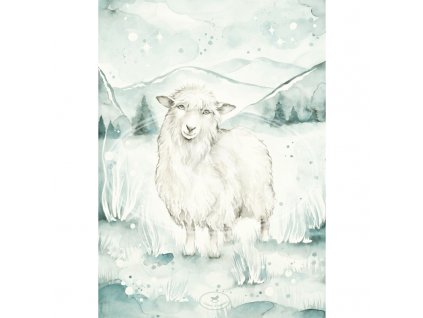 plakat lovely sheep 50x70 01