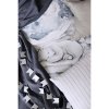 plakat lovely bear 18x24 04