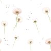 Dandelions wallpaper 001