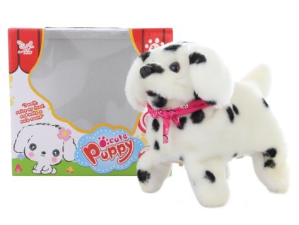 86683 pejsek dalmatin chodici a delajici salta 1