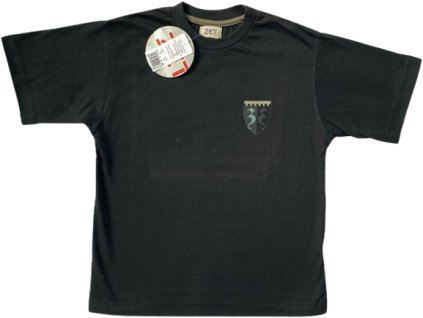 T 180C removebg