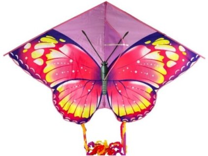 00800114 drak letajici motyl