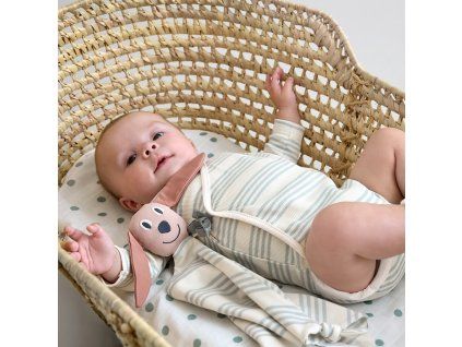 LÄSSIG Cuddle Cloth Gots dog