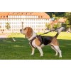 CURLI Vodítko pre psov Comfort Brown M