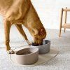 PALOPA Dog Feeding Mat Loua light grey
