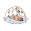 17412 ING PLAYGYM OW %2027