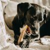 EXPLORER DOG Žuvací jelení paroh S mäkký