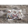 53974 2 aw22 winter on the prairie 3 lp