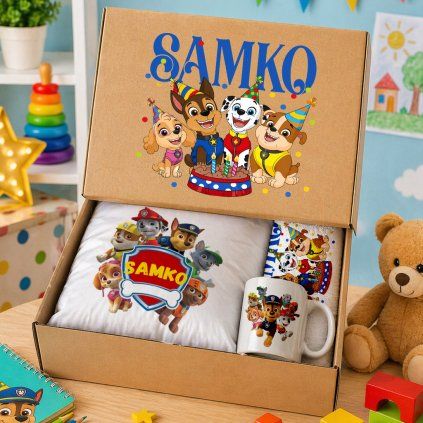 paw patrol box