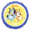 0024658 foliovy balonek bluey a bingo 43 cm 625