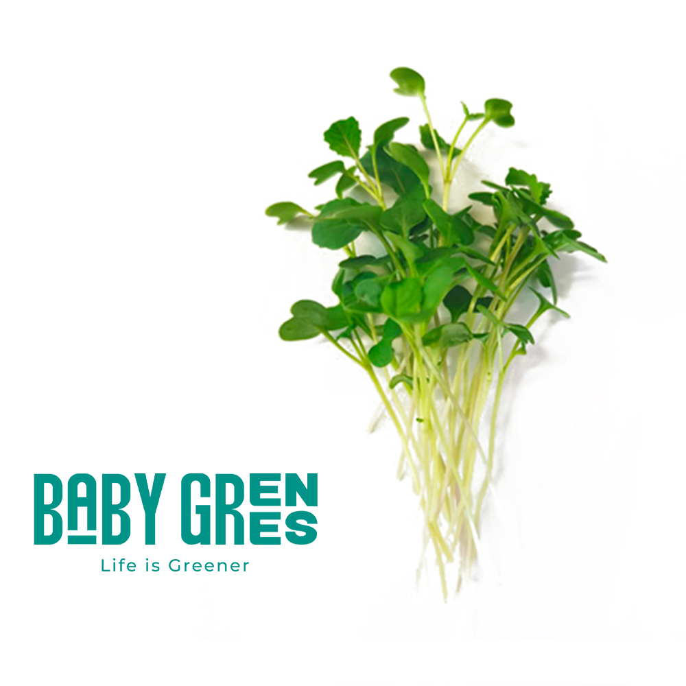 BabyGreens.cz
