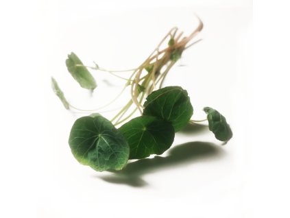 LICHOŘEŘIŠNICE