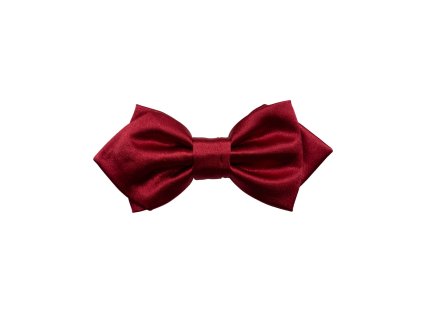 Motýlek Junior fa Xandy