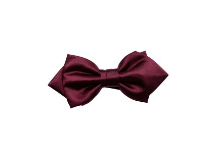 Motýlek Junior fa Xandy