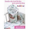 Obrázek (4)