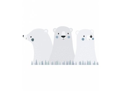 stickers grands ours s1315 xl