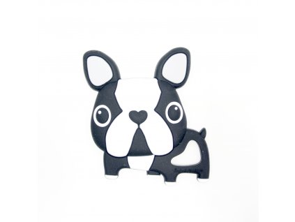 Black Boston Terrier