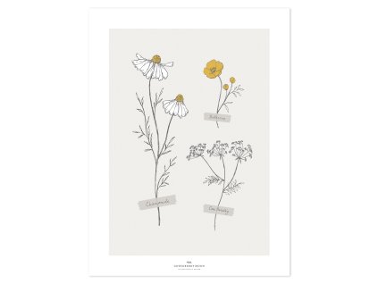 P0292 Chamomile