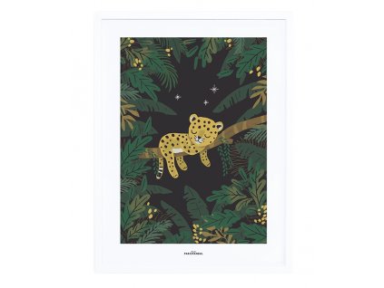 affiche bebe garcon jungle lilipinso p0294c